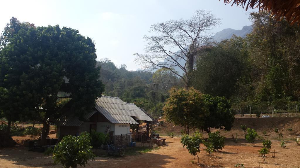 Doo-Dao-Doi Farm & Stay Chiang Dao Bagian luar foto