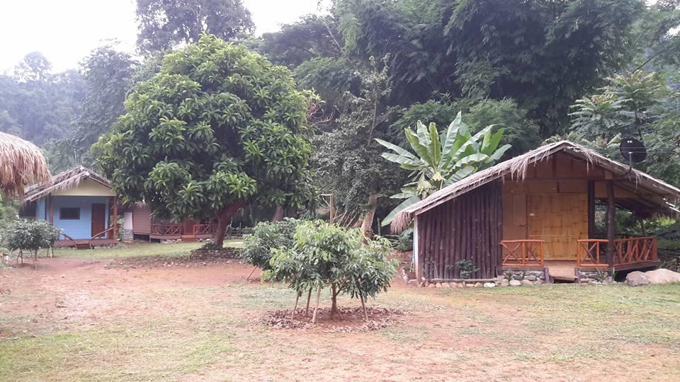 Doo-Dao-Doi Farm & Stay Chiang Dao Bagian luar foto